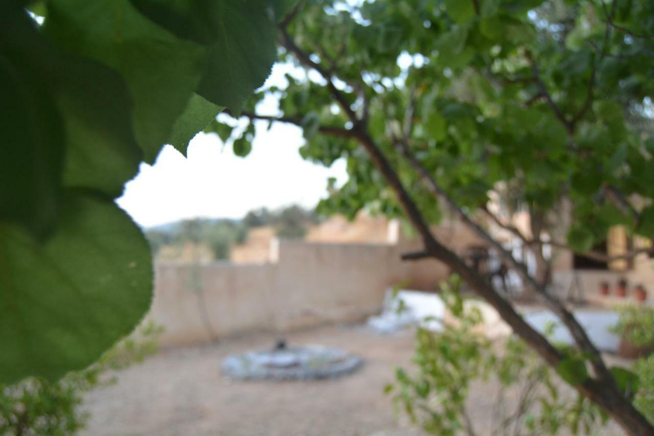 Our Villa'S Private Apartments - Hq Budget Stay - Wonderful Horizon View Of Jerash Jarash Luaran gambar
